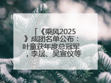 《乘风2025》成团名单公布：叶童获年度总冠军，李晟、吴宣仪等10位姐姐成功成团，陈德容获年度高光人物