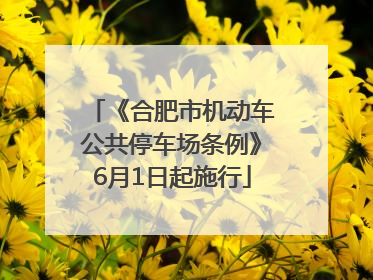 《合肥市机动车公共停车场条例》6月1日起施行