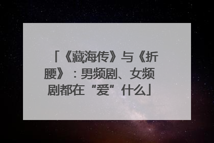 《藏海传》与《折腰》：男频剧、女频剧都在“爱”什么
