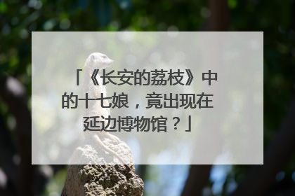 《长安的荔枝》中的十七娘，竟出现在延边博物馆？
