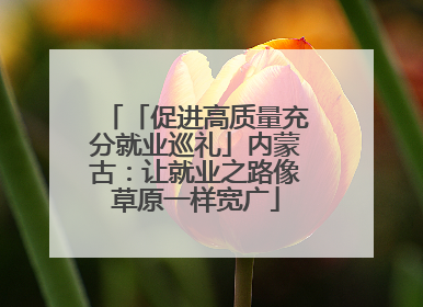 「促进高质量充分就业巡礼」内蒙古：让就业之路像草原一样宽广