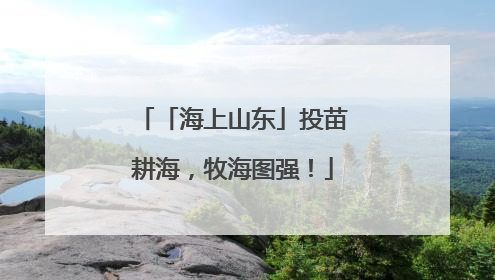 「海上山东」投苗耕海，牧海图强！