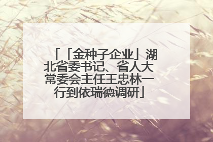 「金种子企业」湖北省委书记、省人大常委会主任王忠林一行到依瑞德调研