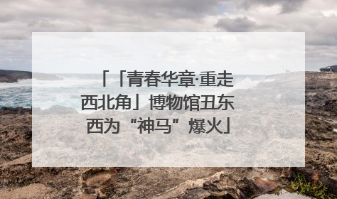 「青春华章·重走西北角」博物馆丑东西为“神马”爆火