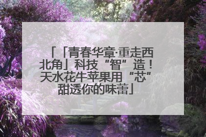 「青春华章·重走西北角」科技“智”造！天水花牛苹果用“芯”甜透你的味蕾