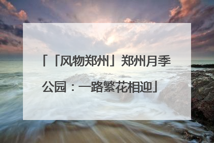 「风物郑州」郑州月季公园：一路繁花相迎