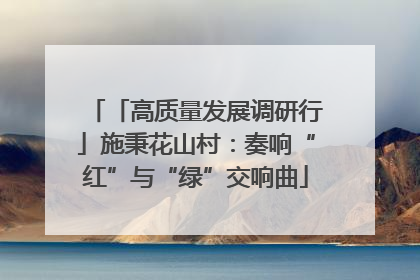 「高质量发展调研行」施秉花山村：奏响“红”与“绿”交响曲