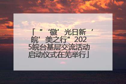 “‘徽’光日新‘皖’美之行”2025皖台基层交流活动启动仪式在芜举行