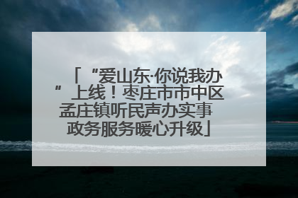 “爱山东·你说我办”上线！枣庄市市中区孟庄镇听民声办实事 政务服务暖心升级