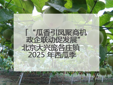 “瓜香引凤聚商机 政企联动促发展”北京大兴庞各庄镇 2025 年西瓜季政企联动产业推介活动圆满举行
