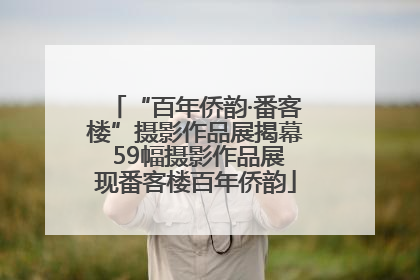 “百年侨韵·番客楼”摄影作品展揭幕 59幅摄影作品展现番客楼百年侨韵