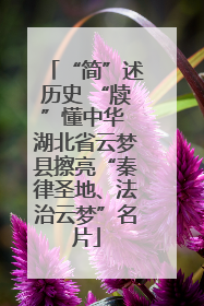 “简”述历史 “牍”懂中华 湖北省云梦县擦亮“秦律圣地、法治云梦”名片