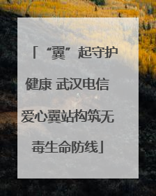 “翼”起守护健康 武汉电信爱心翼站构筑无毒生命防线