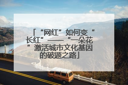 “网红”如何变“长红”——“一朵花”激活城市文化基因的破题之路