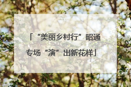 “美丽乡村行”昭通专场“演”出新花样