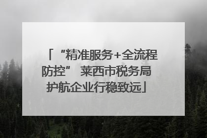 “精准服务+全流程防控” 莱西市税务局护航企业行稳致远