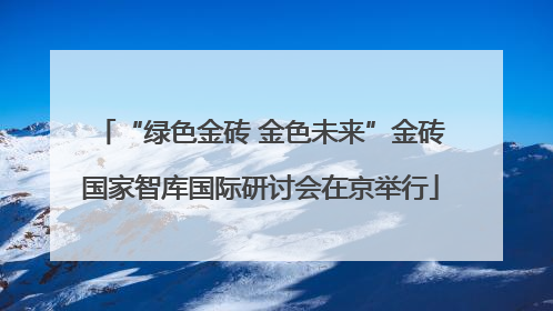 “绿色金砖 金色未来”金砖国家智库国际研讨会在京举行