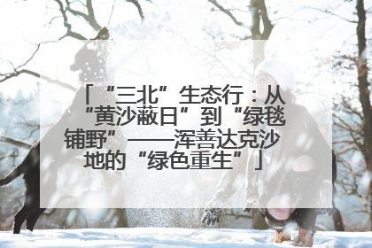 “三北”生态行：从“黄沙蔽日”到“绿毯铺野”——浑善达克沙地的“绿色重生”