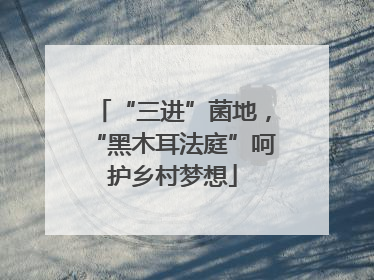 “三进”菌地，“黑木耳法庭”呵护乡村梦想