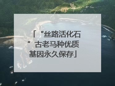 “丝路活化石”古老马种优质基因永久保存