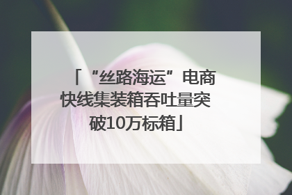 “丝路海运”电商快线集装箱吞吐量突破10万标箱