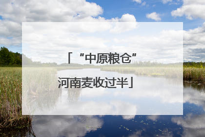 “中原粮仓”河南麦收过半