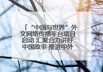 “中国与世界”外文网络传播平台项目启动 汇聚合力讲好中国故事 推进中外文明交流互鉴