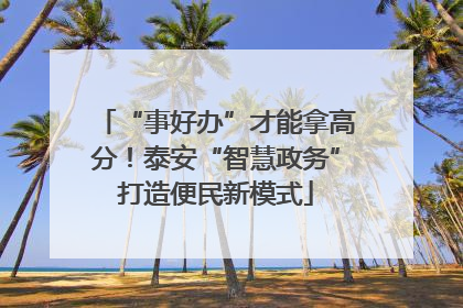 “事好办”才能拿高分！泰安“智慧政务”打造便民新模式