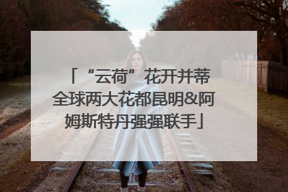“云荷”花开并蒂 全球两大花都昆明&阿姆斯特丹强强联手