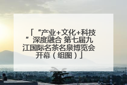 “产业+文化+科技”深度融合 第七届九江国际名茶名泉博览会开幕（组图）