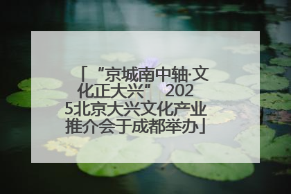 “京城南中轴·文化正大兴” 2025北京大兴文化产业推介会于成都举办