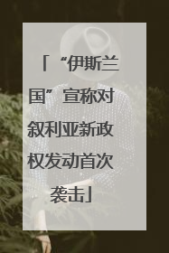 “伊斯兰国”宣称对叙利亚新政权发动首次袭击