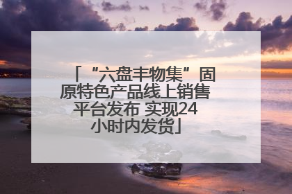 “六盘丰物集”固原特色产品线上销售平台发布 实现24小时内发货