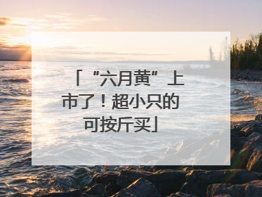 “六月黄”上市了！超小只的可按斤买