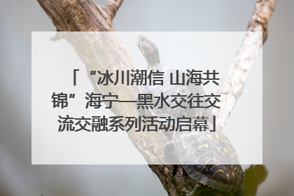 “冰川潮信 山海共锦”海宁—黑水交往交流交融系列活动启幕