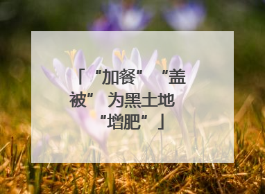 “加餐”“盖被” 为黑土地“增肥”