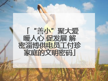 “善小”聚大爱 暖人心 促发展 解密淄博供电员工付珍家庭的文明密码