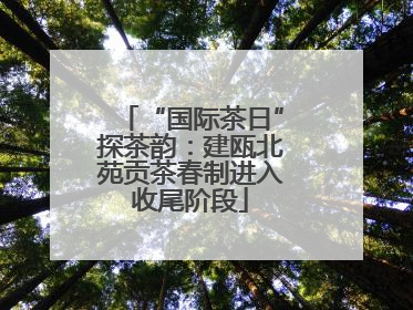 “国际茶日”探茶韵：建瓯北苑贡茶春制进入收尾阶段