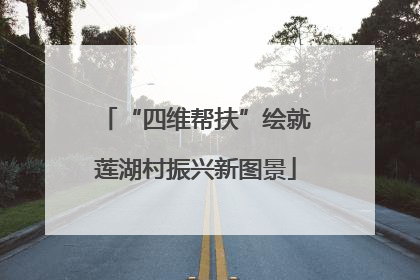 “四维帮扶”绘就莲湖村振兴新图景