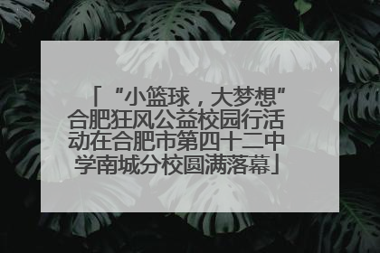 “小篮球，大梦想”合肥狂风公益校园行活动在合肥市第四十二中学南城分校圆满落幕