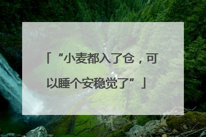 “小麦都入了仓，可以睡个安稳觉了”