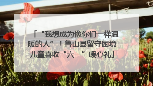 “我想成为像你们一样温暖的人”！鲁山县留守困境儿童喜收“六一”暖心礼