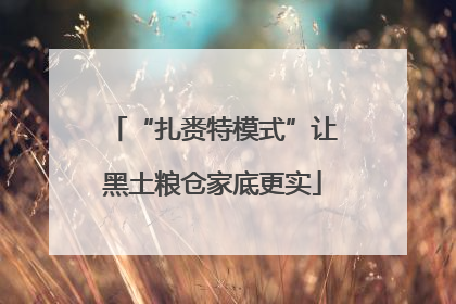 “扎赉特模式”让黑土粮仓家底更实