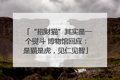 “招财猫”其实是一个熨斗 博物馆回应：是猫是虎，见仁见智