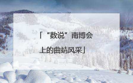 “数说”南博会上的曲靖风采