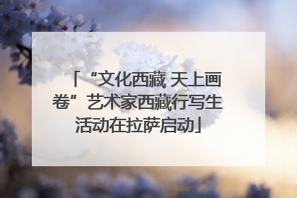 “文化西藏 天上画卷”艺术家西藏行写生活动在拉萨启动