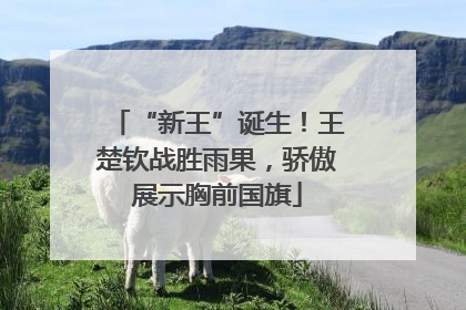“新王”诞生！王楚钦战胜雨果，骄傲展示胸前国旗