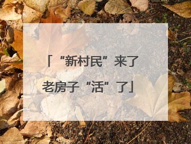 “新村民”来了 老房子“活”了