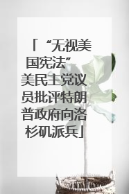“无视美国宪法” 美民主党议员批评特朗普政府向洛杉矶派兵