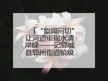 “望闻问切”让河道重现水清岸绿——记郓城县郓州街道镇级河长孟泓辰